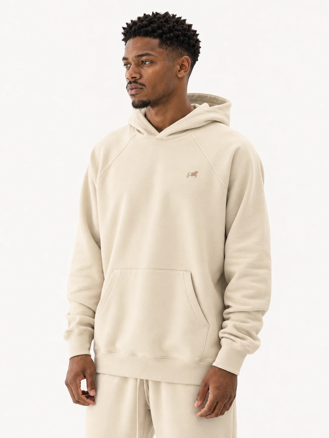 380GSM Unisex Brushed Fleece Hoodie